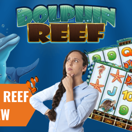 Dolphin Reef Review